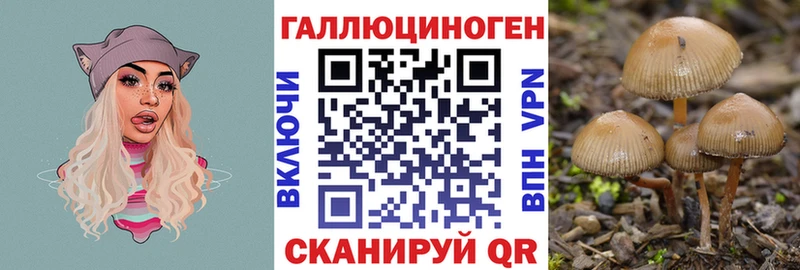 Купить закладки  Саянск  Псилоцибиновые грибы Magic Shrooms 